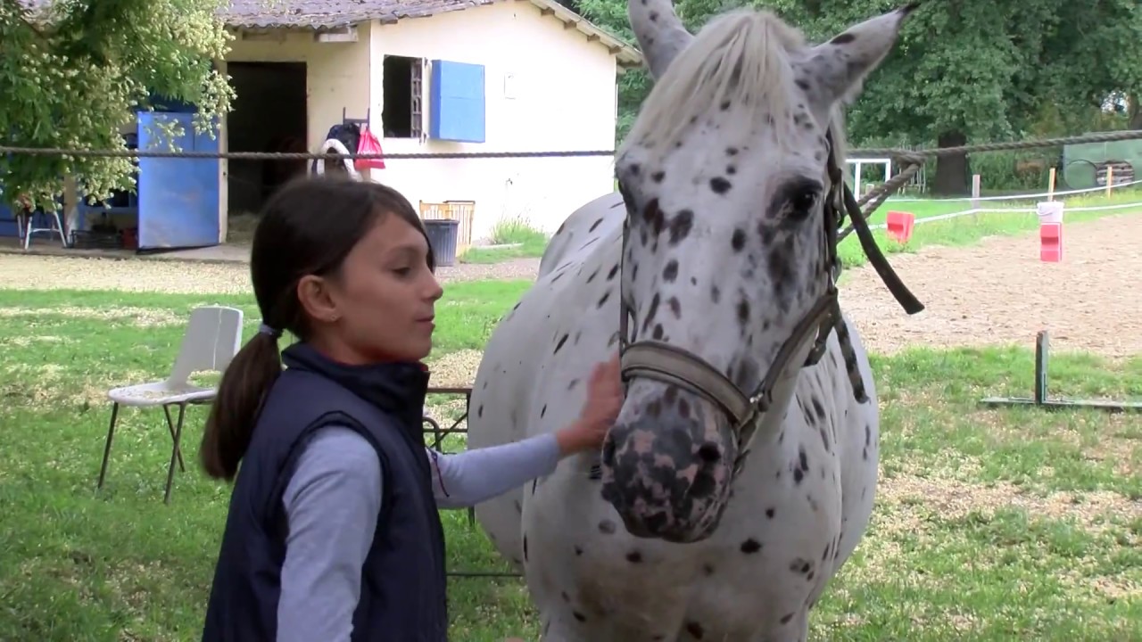 Découverte du poney à Renaudine équitation Bours