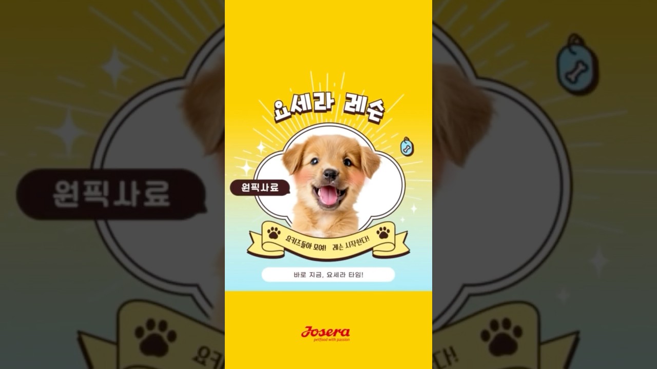 요세라가 말아주는 레슨❤️&zwj;🔥 강아지가 좋아하는 기호성좋은 피부 모질케어 사료👍 #강아지사료 #요세라