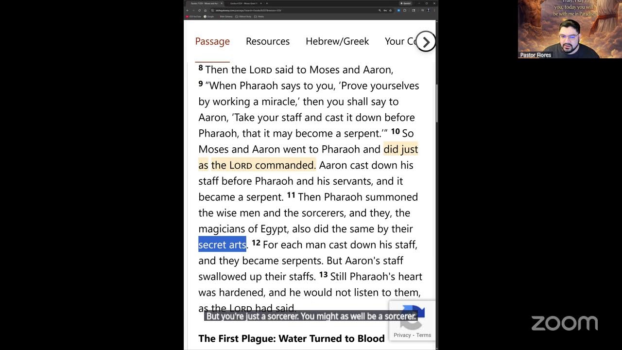 Lion Heart Spirit Study