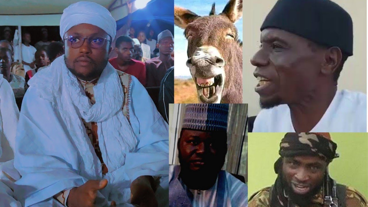 Musa Mushen Kura da Dan Tashan dutsen Tanshi sun shigo Hanu. BY Abulfathi Sani Attijany.