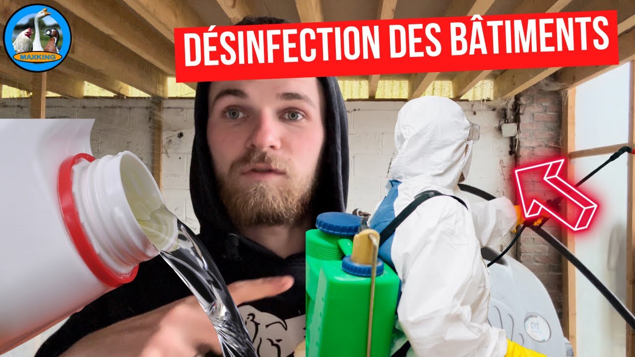 COMMENT DÉSINFECTER VOS POULAILLERS ?