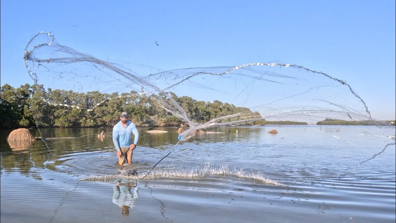 The Perfect Winter Fishing Day!!! Too many fish!!!Wade Cast Netting Mullet!!!