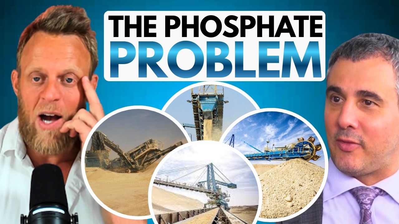 THE LFP REVOLUTION: Why North America is Finally Insulating its Supply Chain
