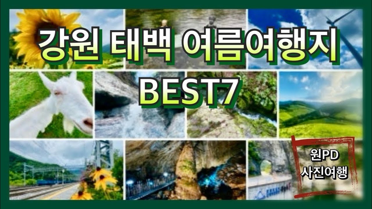 원PD 걸어서 사진여행 - #여름태백여행 #8월태백여행