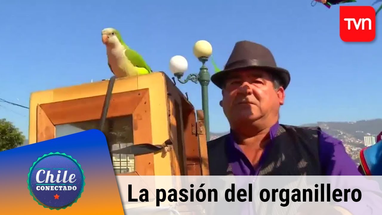 La pasión del organillero | Chile conectado | Buenos días a todos