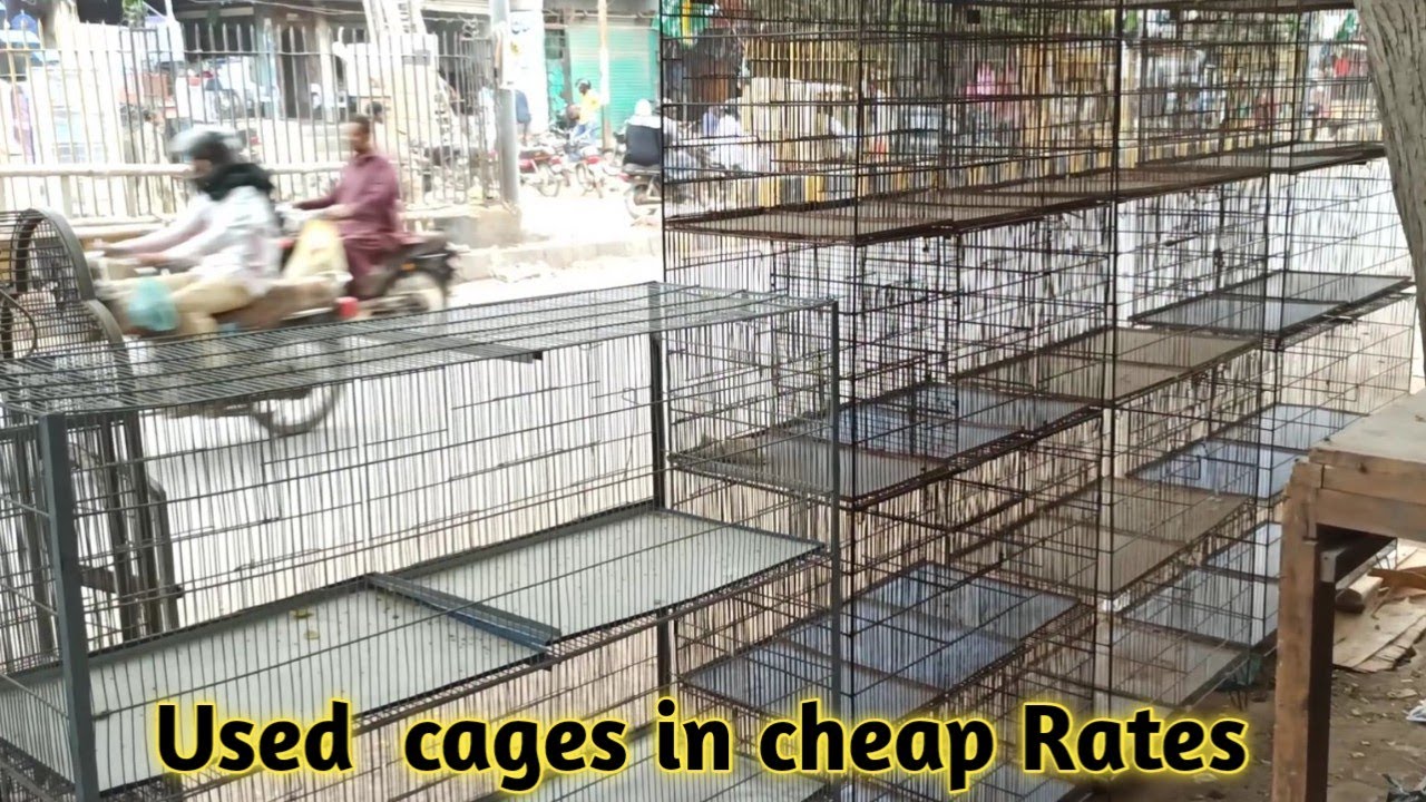 Used cages shop|| old cages |cage in cheap prices details in urdu/hindi