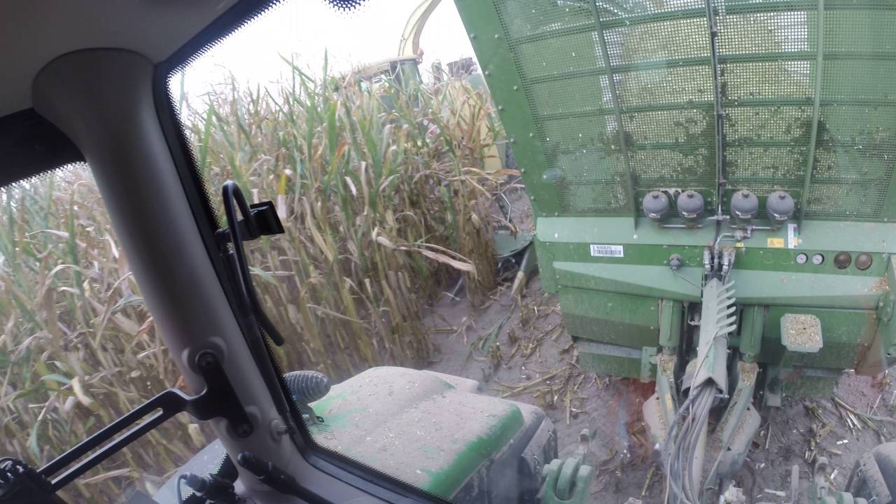 [HD] GoPro Hero 3+ @ John Deere 6145R mit Krone TX460 beim Maisfahren