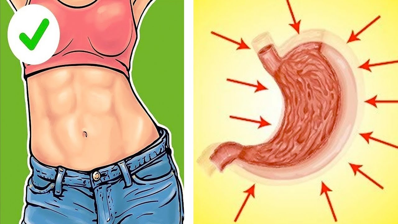 Como Treinar seu Estômago para Comer Menos e Emagrecer com Saúde - Mais Fácil e Rápido