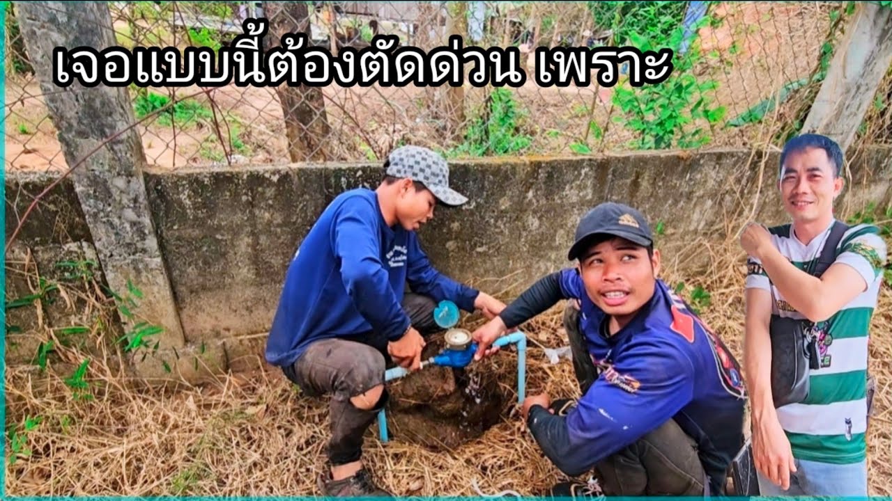 เจอแบบนี้ต้องตัดด่วนเพราะ 4 มีนาคม ค.ศ. 2026