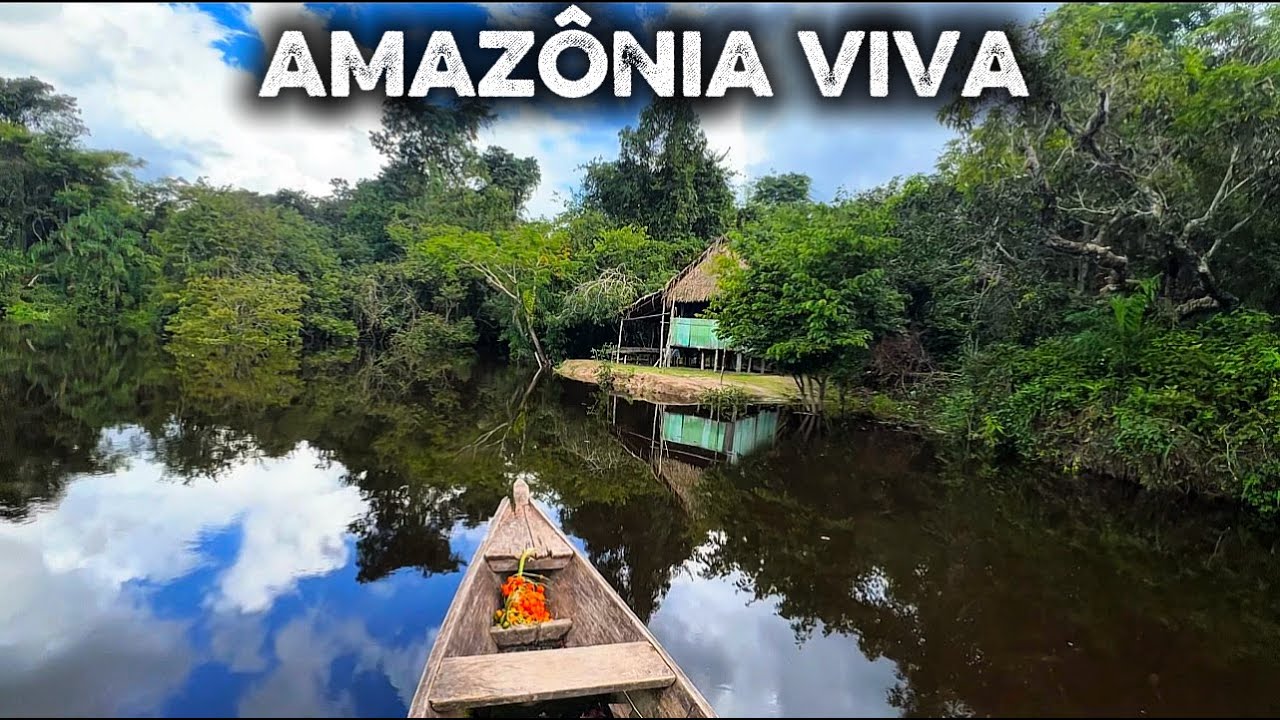 AMAZÔNIA VIVA | Mais uma Aventura, Pescaria, com belezas Naturais Da SELVA
