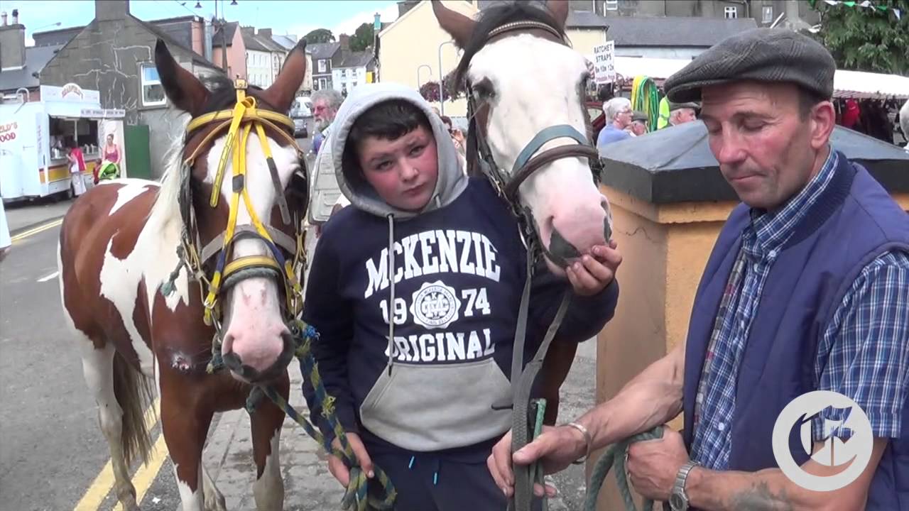 Ballabuidhe Horse Fair Dunmanway 2014