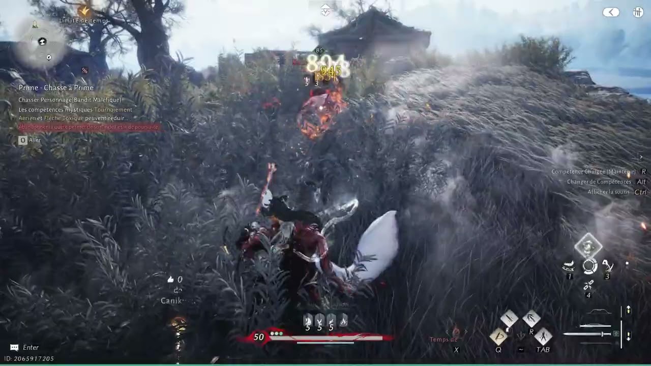 Where Winds Meet [part.2067]