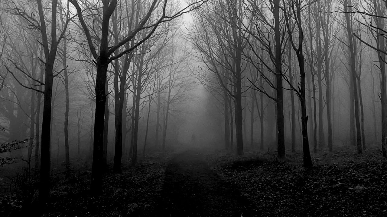 Trentemøller: Foggy Figures (official video)