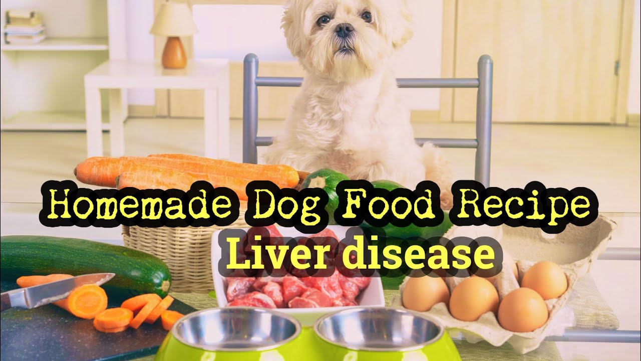 Рецепт домашнего корма для собак при заболеваниях печени — Canine Nutritionist