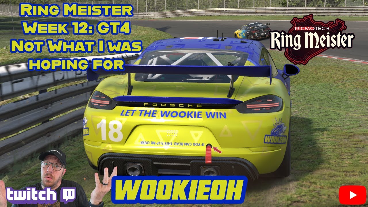 Ring Meister, 12-я неделя: GT4