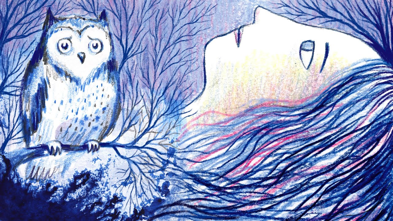 INSOMNIE (chanson, anim, illustration et nouveautés)