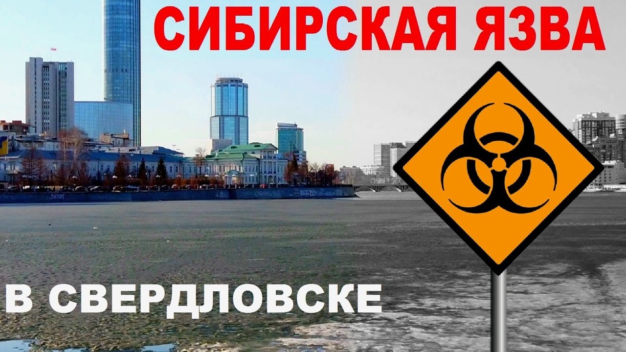 Сибирская язва в советском Свердловске или биологическая катастрофа СССР