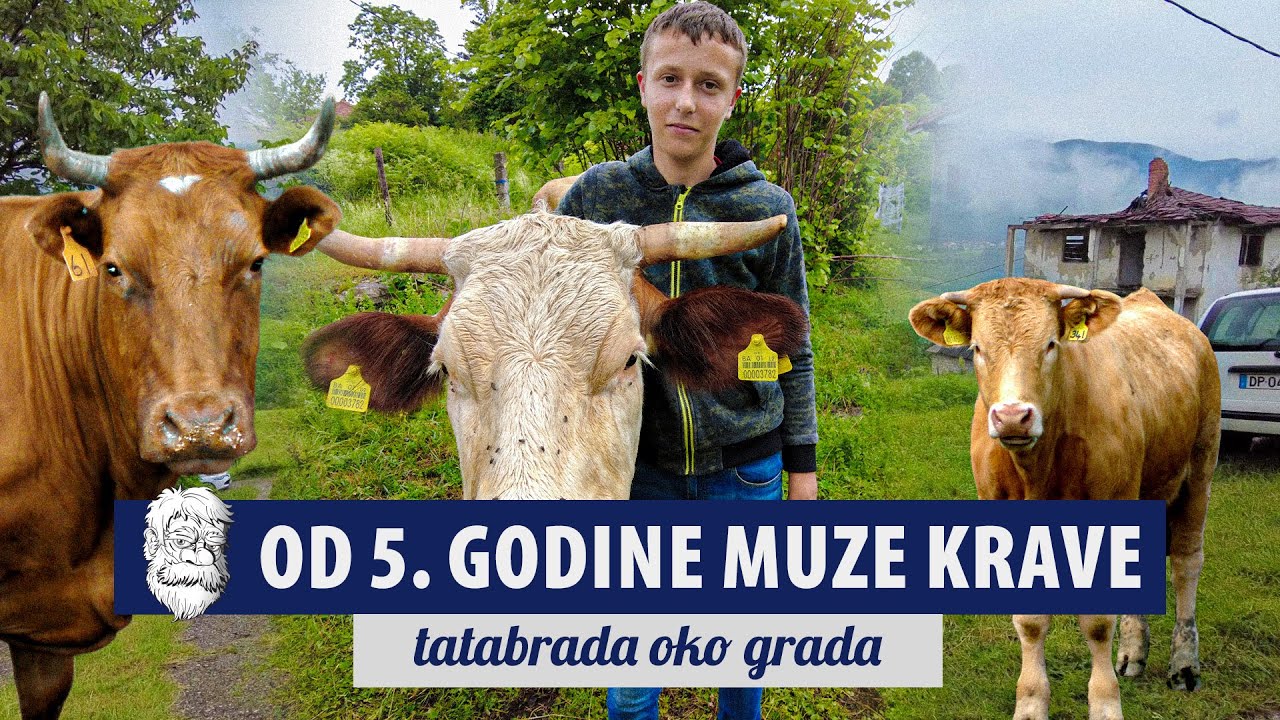 Samo mlađi brat i ja oko stoke, radimo, borimo se!