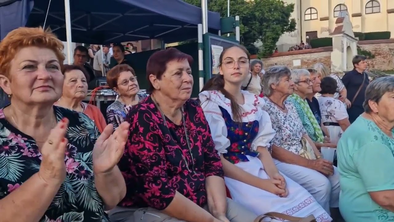 DAMBOŘICE- IX. SFFS DAMBOŘICE, 