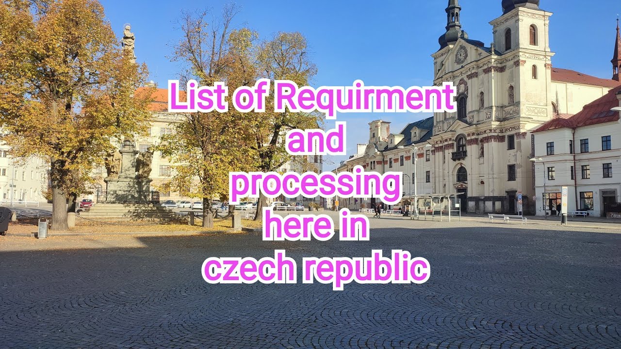 LIST OF REQUIRMENT AND PROCESSING HERE IN CZECH REPUBLIC AS A BUTCHER