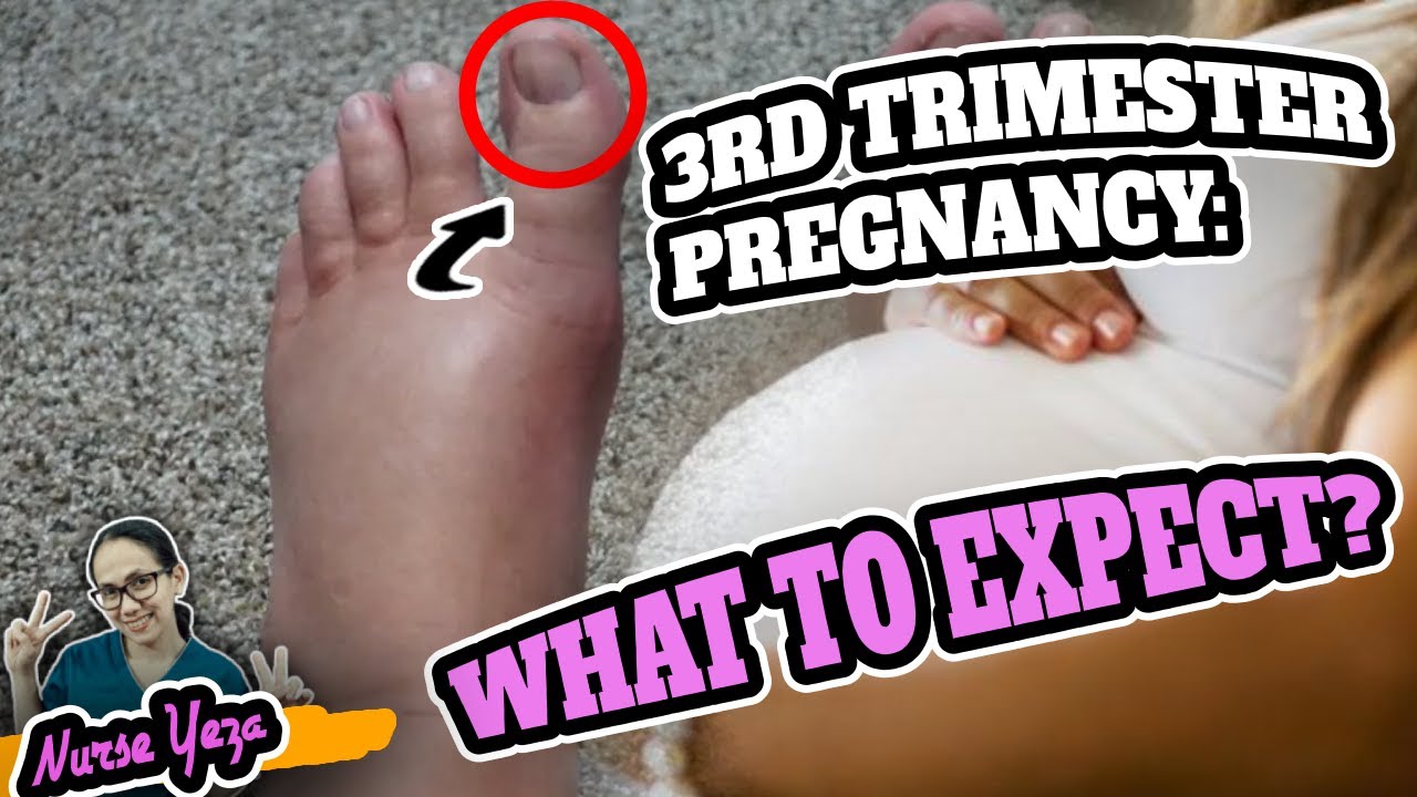 WHAT TO EXPECT ON YOUR 3RD TRIMESTER