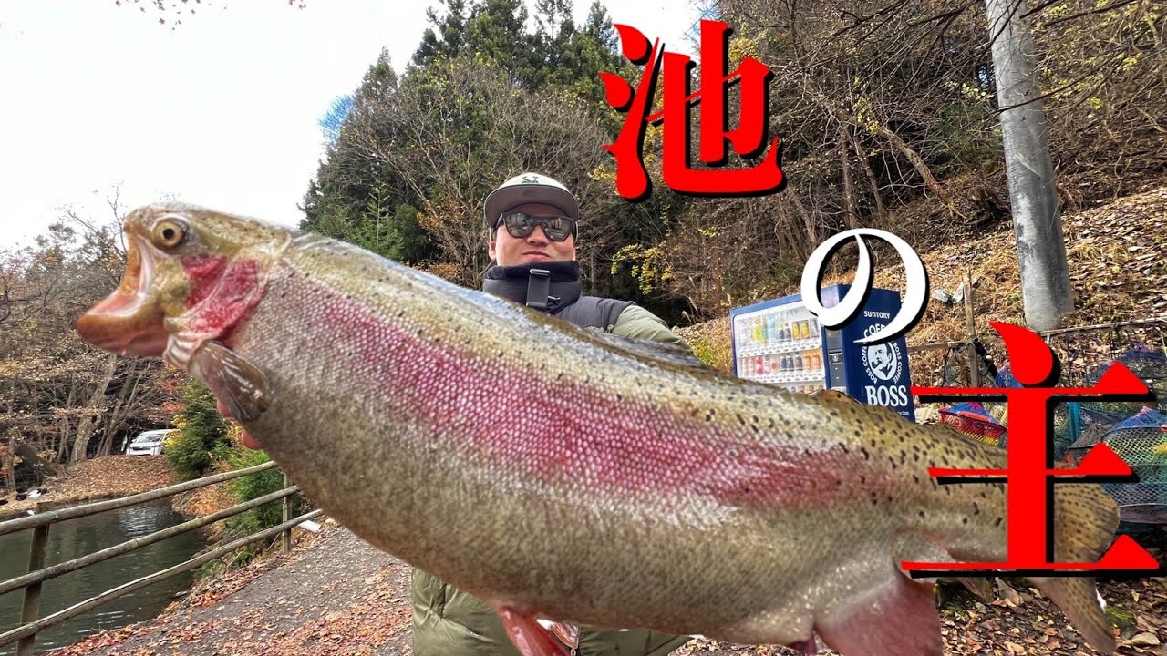 イワナセンターの池の主⁉️【エリアトラウト】