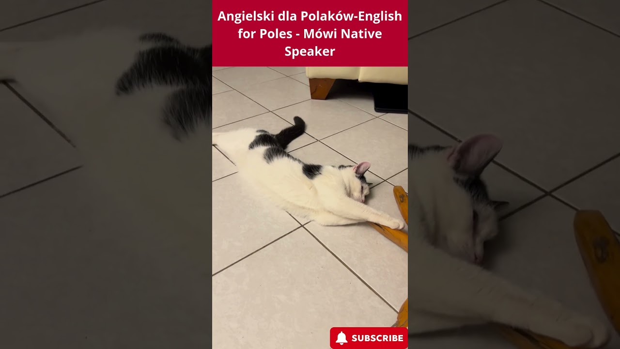 Adventures of cat Baba Yaga in English: Tiled floor|Podłoga z kafelek# 