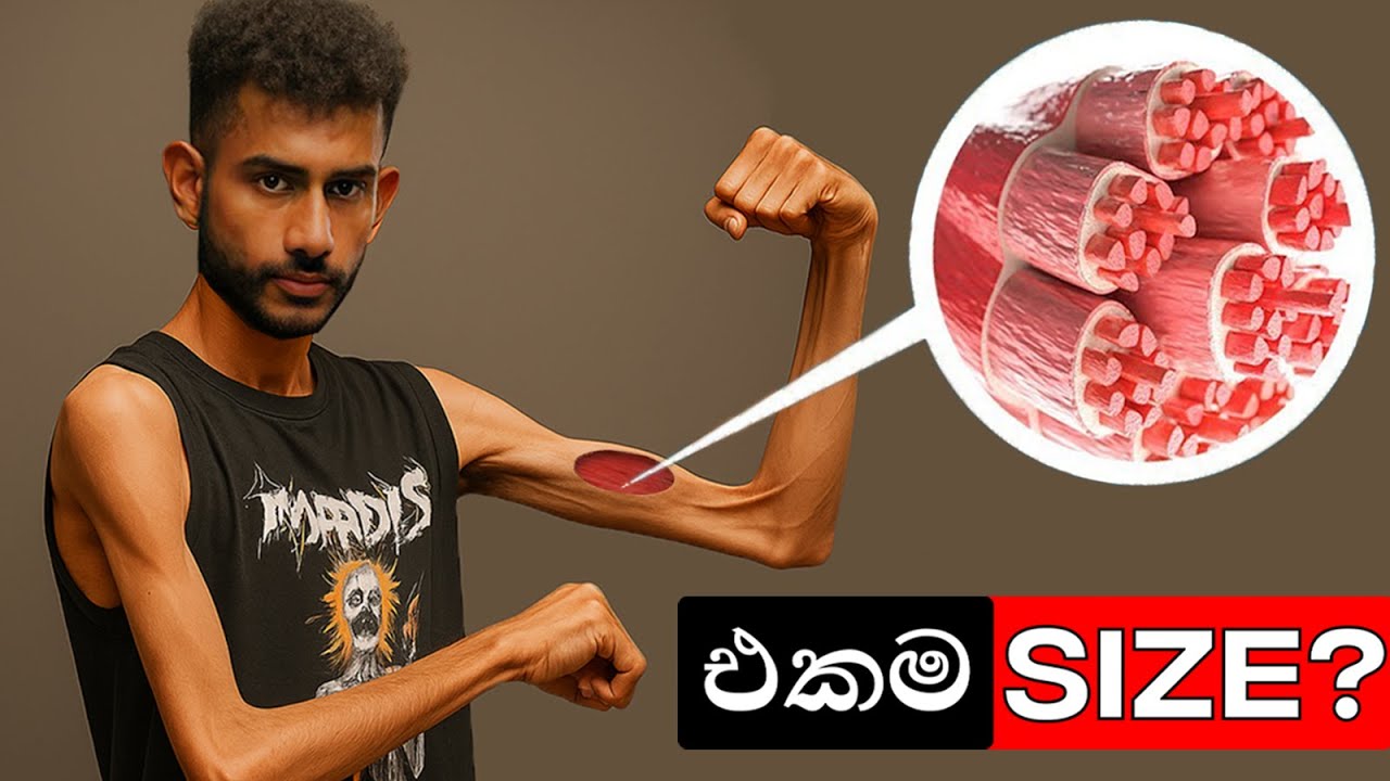 කොච්චර Gym ගියත් ඇඟ වෙනස් නොකරන විද්‍යාත්මක හේතු 4 මෙන්න!