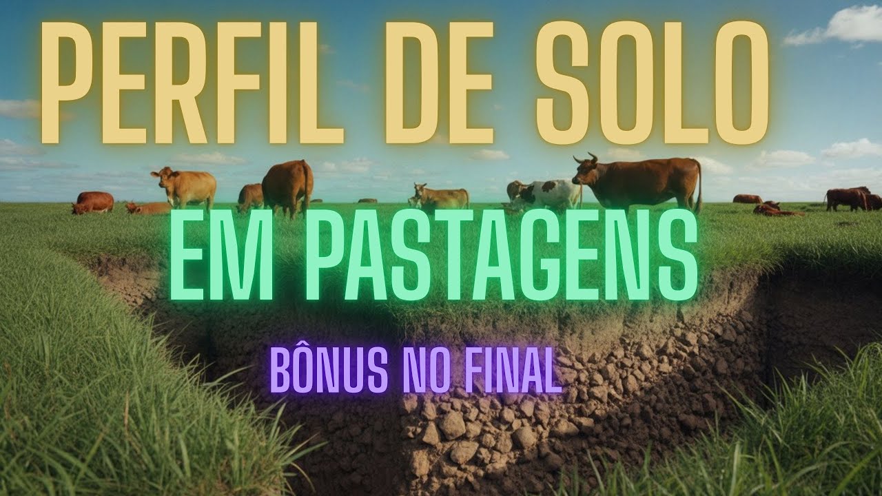 Perfil de Solo em Pastagens: O Manejo Invisível Que Decide o Resultado | BÔNUS