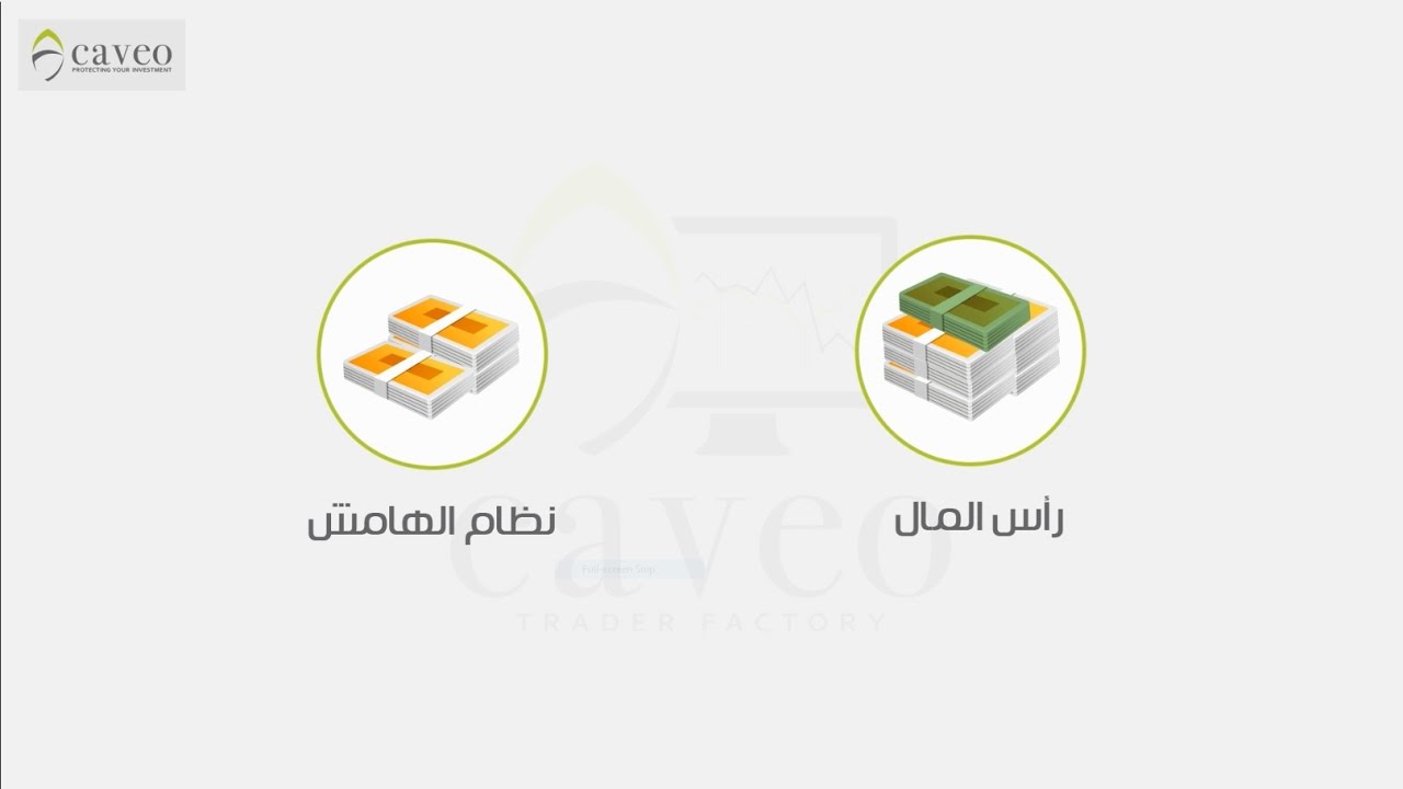 نظام الهامش ونظام الرافعة المالية