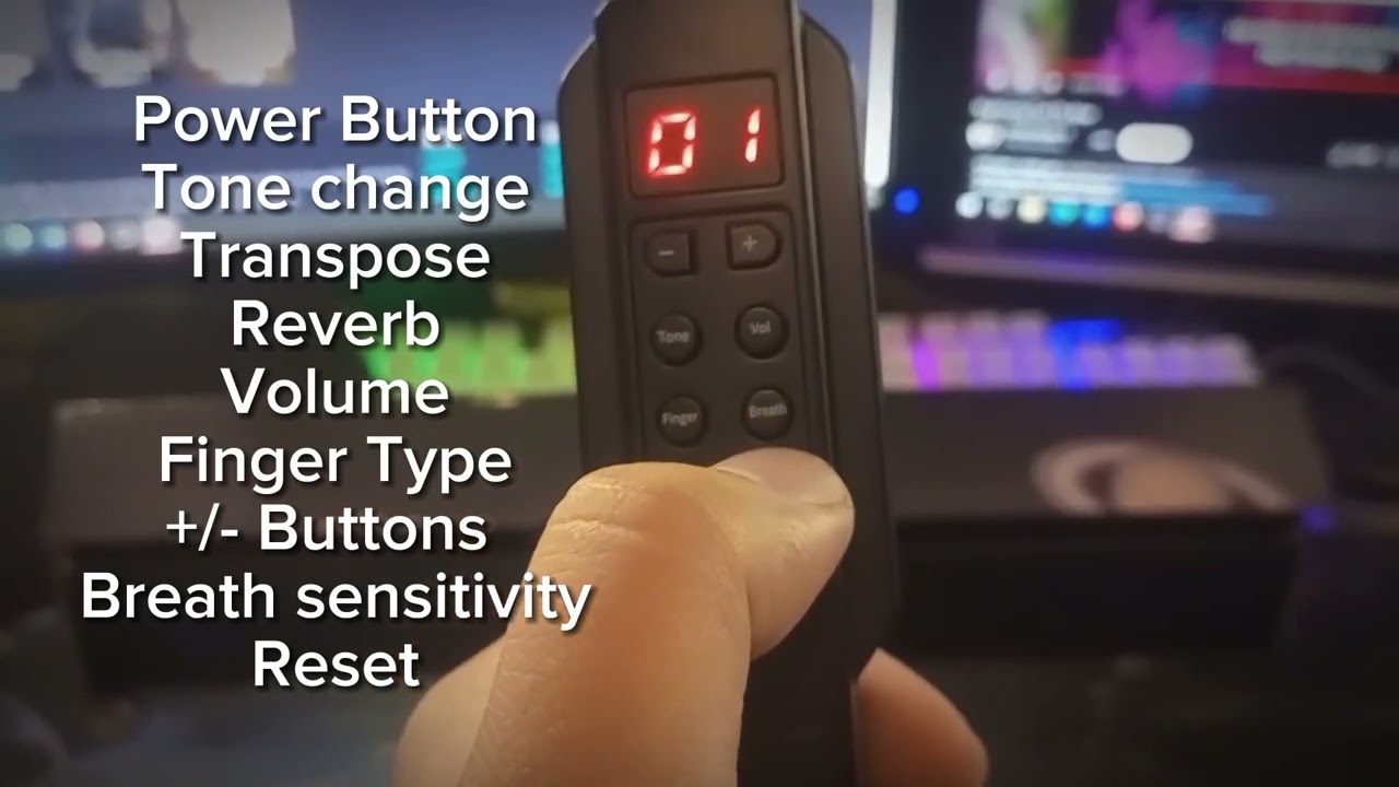 MIDI EWI (Electronic Wind Instrument (Shopee) setup and sample