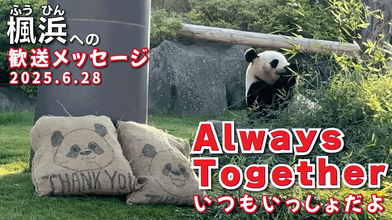 【楓浜（ふうひん）】Always Together💖ずっといっしょだよ🥹旅立つ楓浜🍁へ贈る言葉