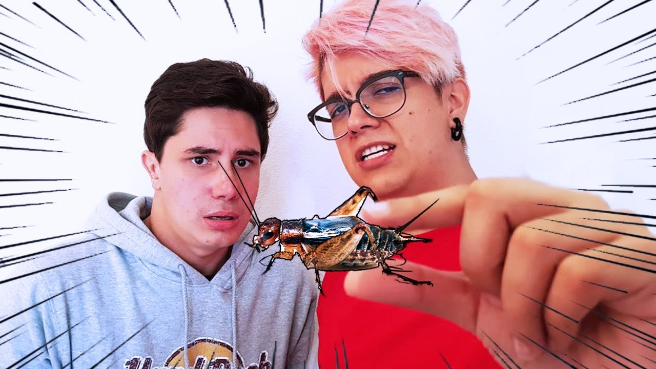 COMENDO INSETOS! 🐞 *aviso* nojento