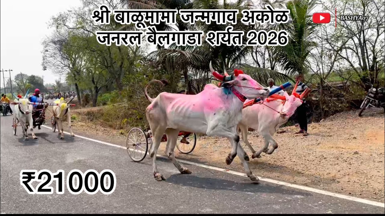 श्री बाळूमामा जन्मगाव अकोळ जनराल बैलगाडा शर्यत 2026 🐎🐎🐎