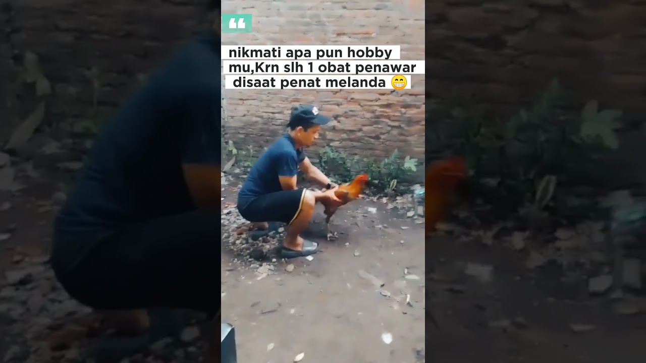 hobby merupakan penawar stres.