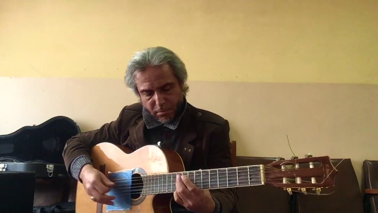 ДЕМОБИЛИЗАЦИЯ- Сектор газа- guitar Cover Garri Pat