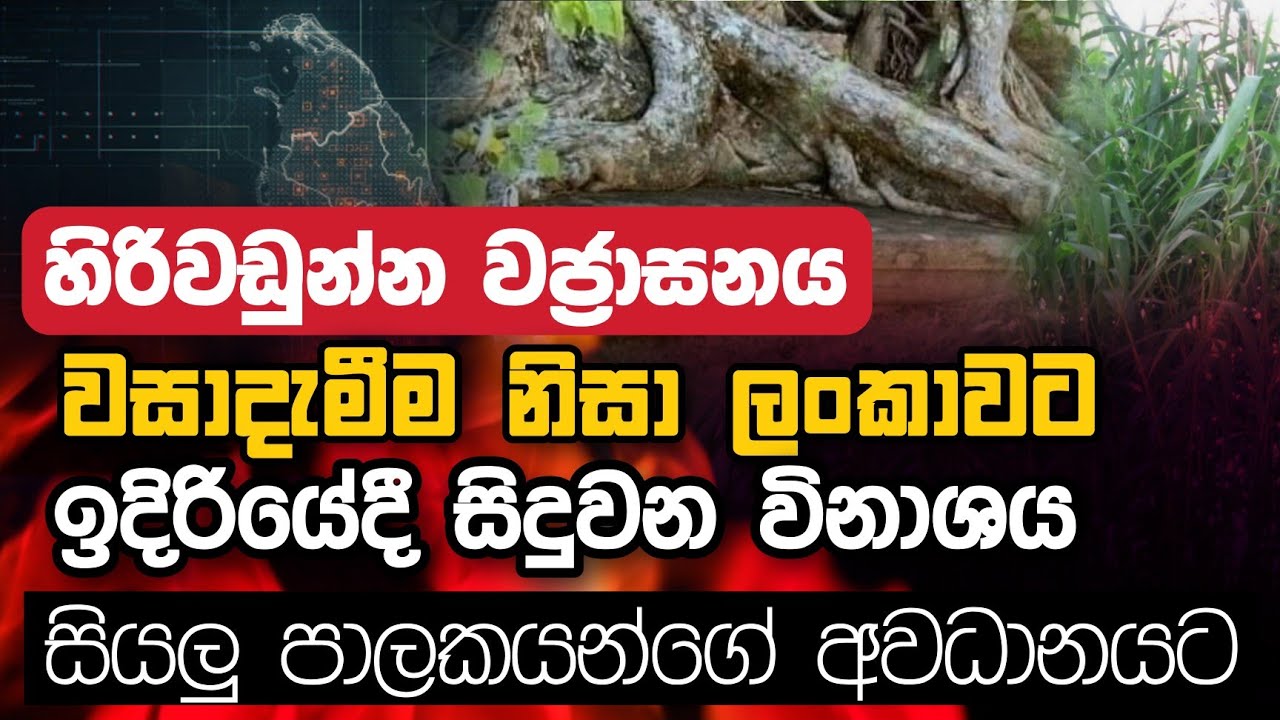 හිරිවඩුන්න වජ්‍රාසනය වසාදැමීම නිසා ලංකාවට ඉදිරියේදී සිදුවන විනාශය | සියලු පාලකයන්ගේ අවධානයට