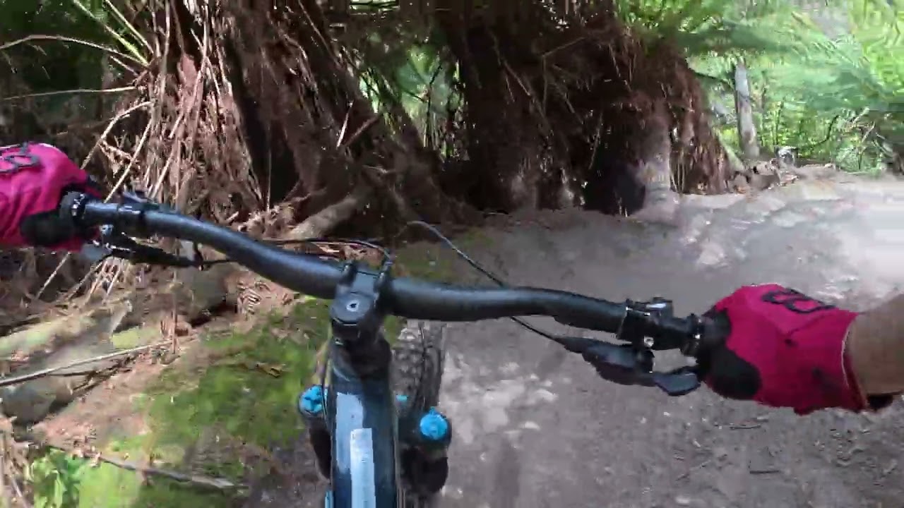 Blue Derby Mountain Biking Trails - Turbo Tunnel (November 2024)