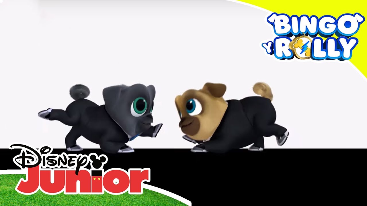 Bingo y Rolly: Las canciones de Bingo y Rolly vol. 5 | Disney Junior Oficial