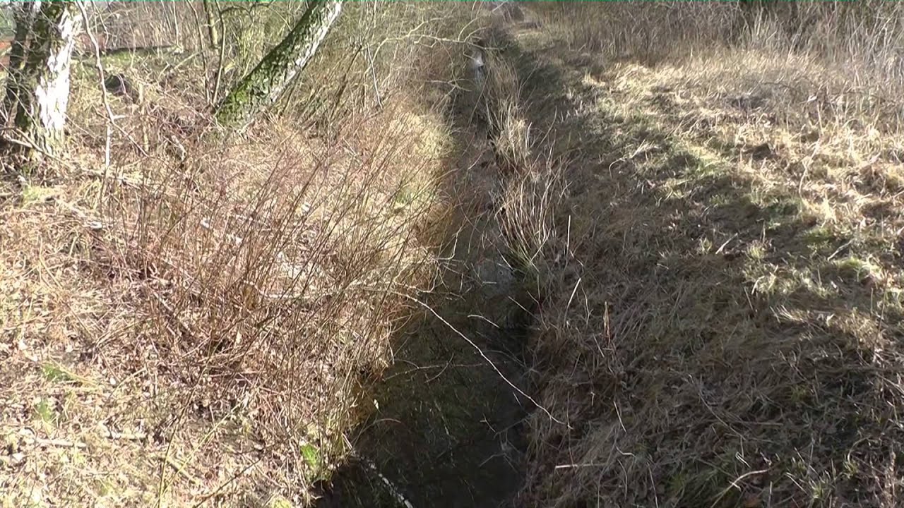 Kurzfilm zum Pilotprojekt in der Region Hannover: Modellhafte Unterhaltung an Gew&auml;ssern III. Ordnung