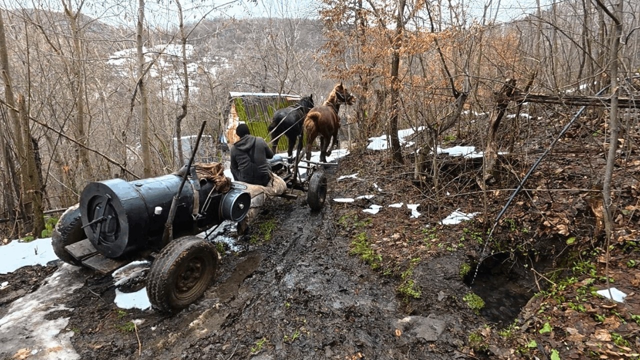 Survival Life in an Abandoned Mountain Village