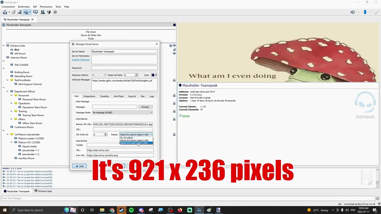 Teamspeak Beginner Guide to Banners (Gifs & Still Images)