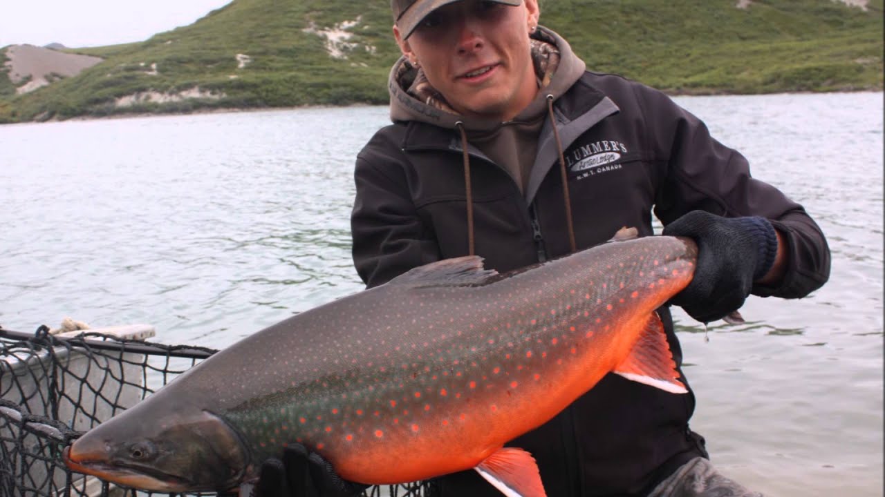 Tree River 2015 | Plummer's Arctic Lodges