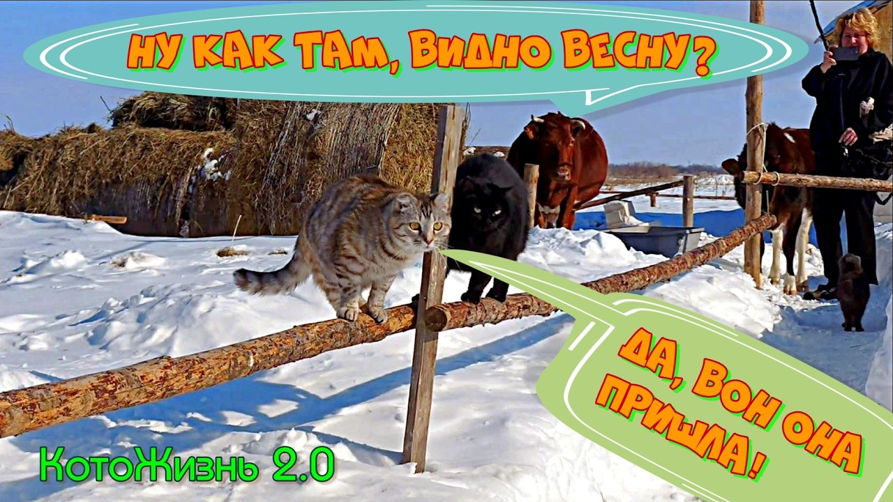 Наступила весна! 15.03.2026