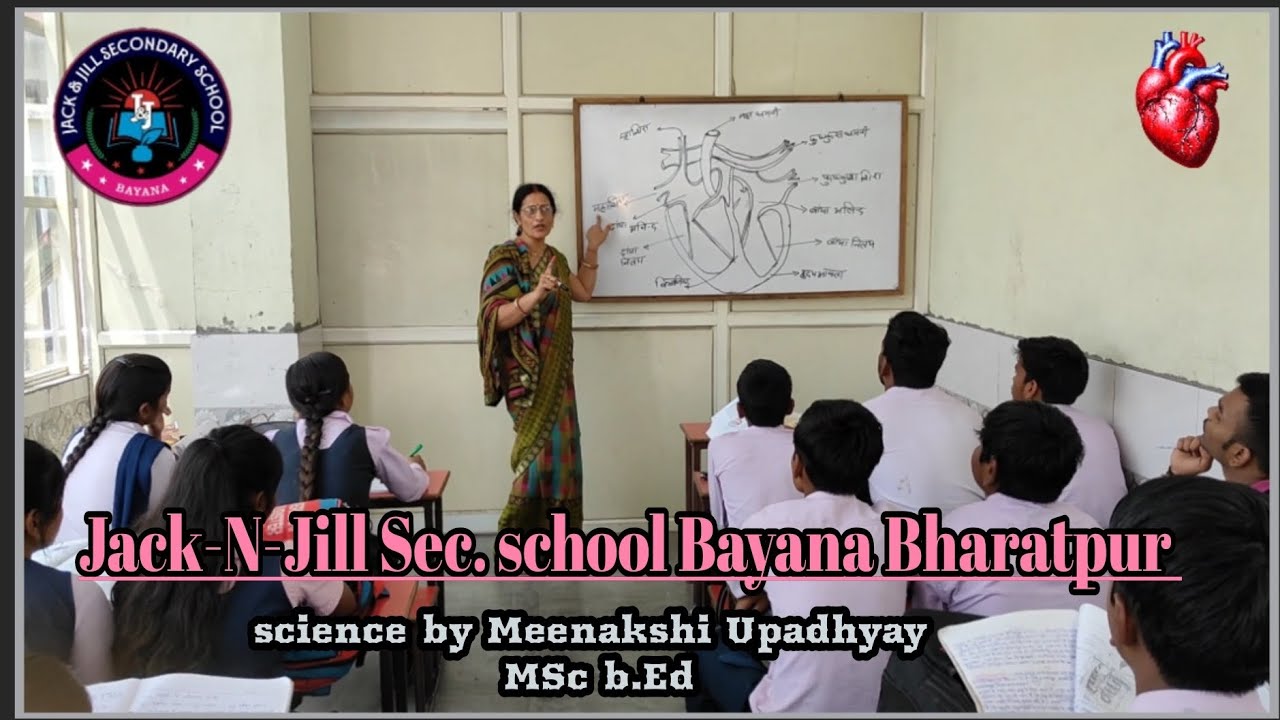 Structure of Human Heart|| Human Heart Diagram ||#class10 #scince#educationvideo @Jacknjillsecschool