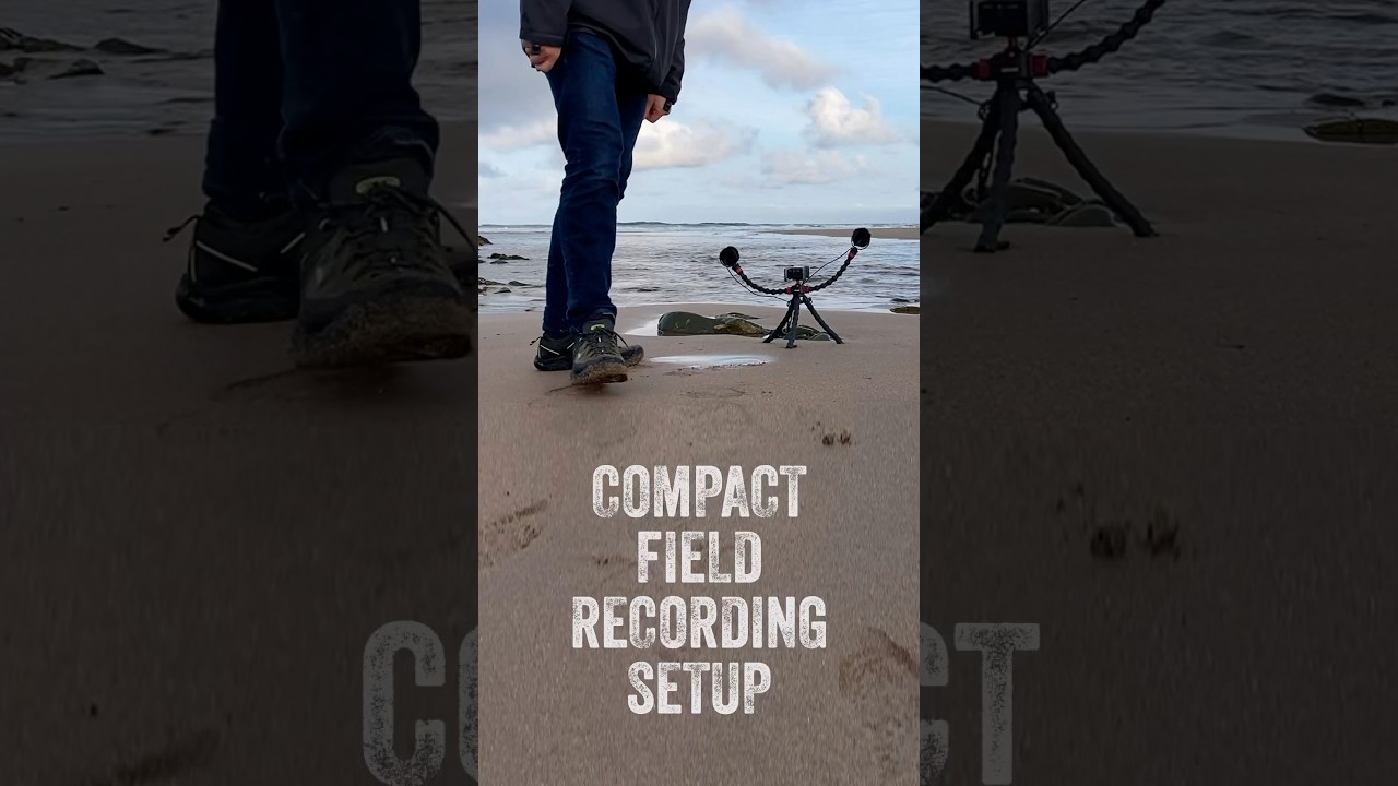 Field Recording Setup Compact High Quality #fieldrecording #modularmusic