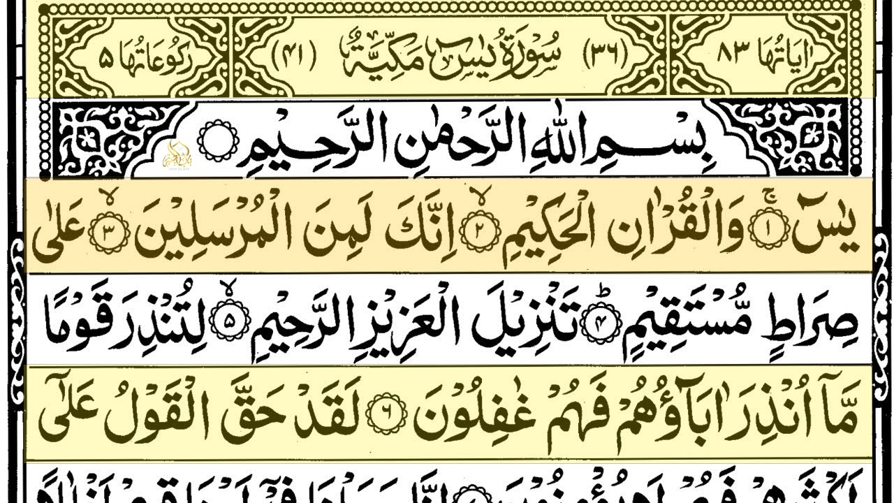 UntitledSurah Yaseen Surah Ar Rahman | Best Quran Recitation | Surah Yasin Tilawat | Episode_002