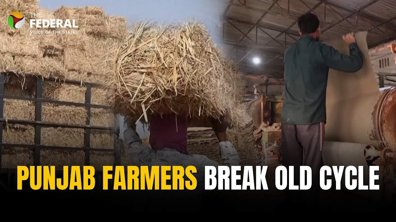 From smoke to income: Punjab farmers shift away from stubble burning | Clean alternatives