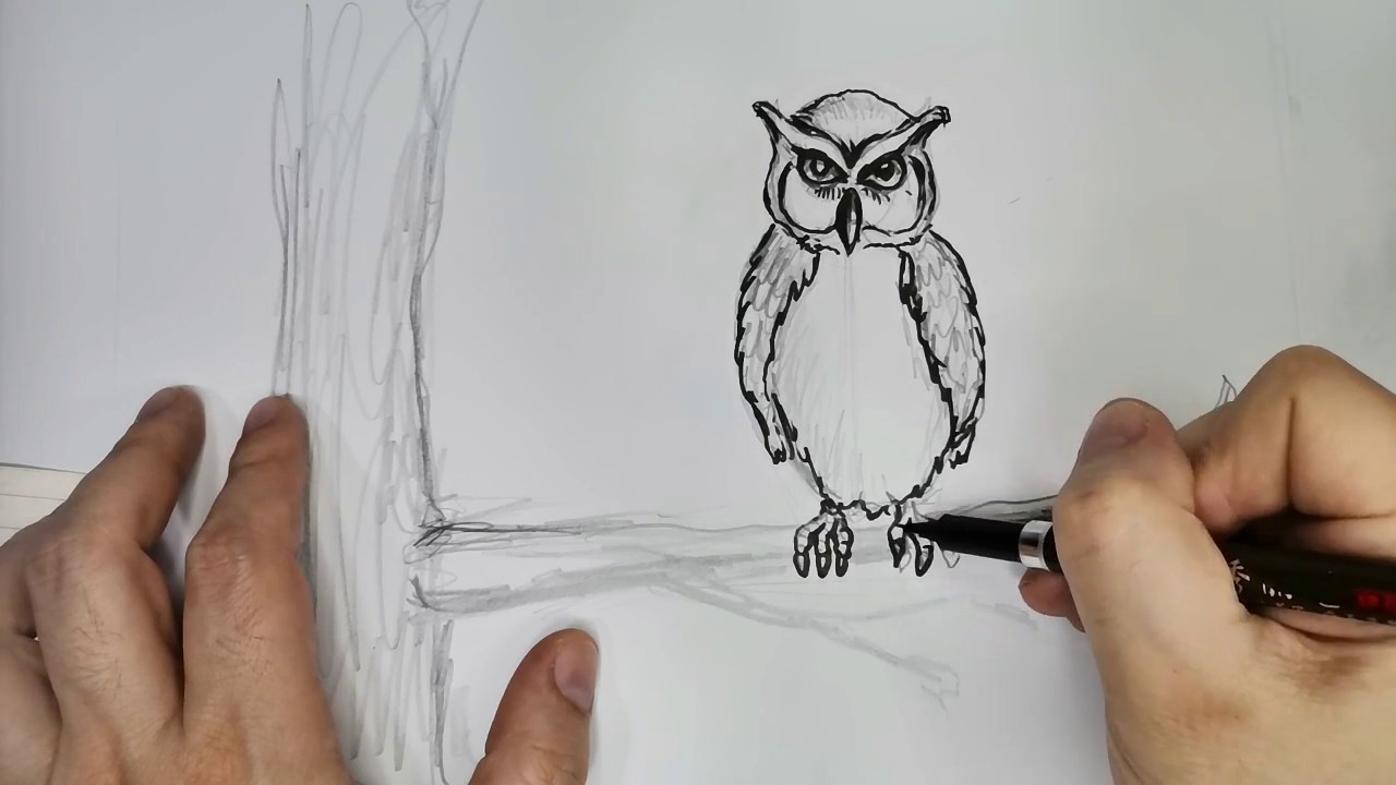 Come disegnare un Gufo Tutorial