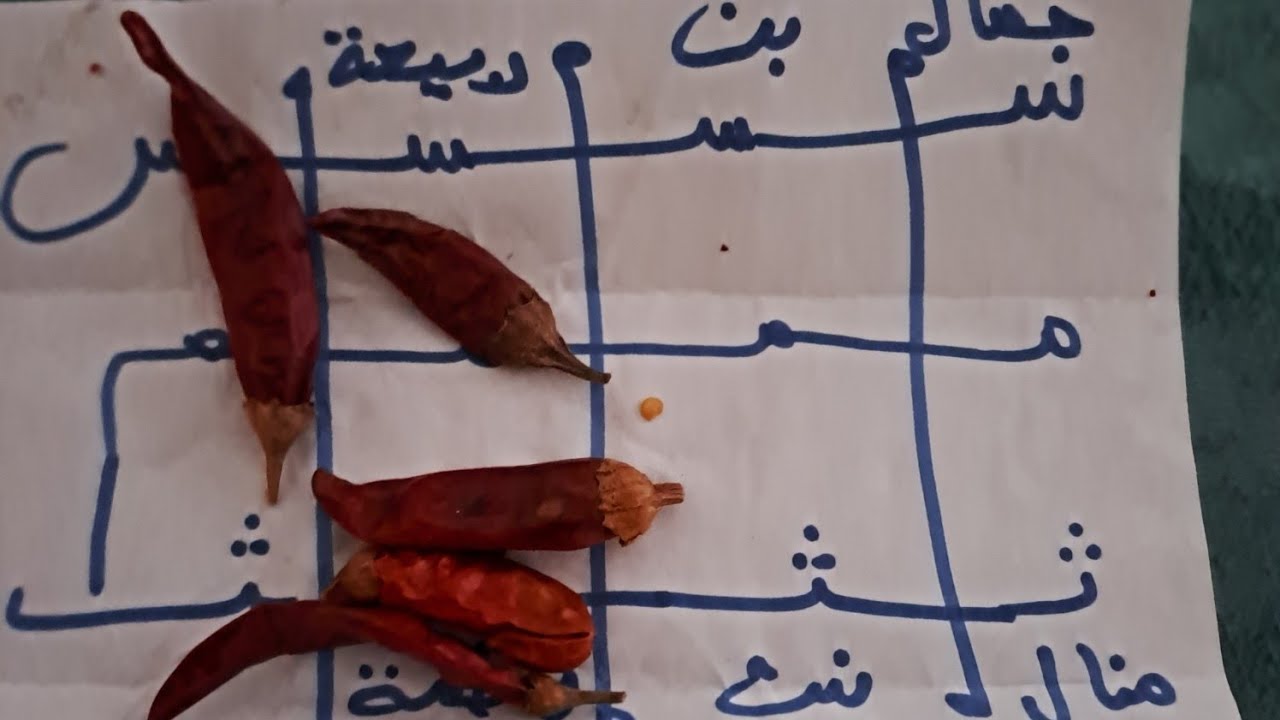 ستستغرب من سرعة هذا العمل... الجلب للفراش ولنكاح يخلي المطلوب فيه نارر شوق حتى ينام معك